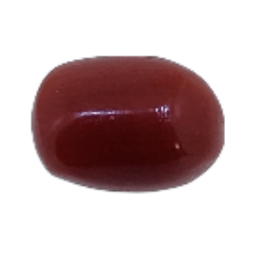 Hiraola's Product Image