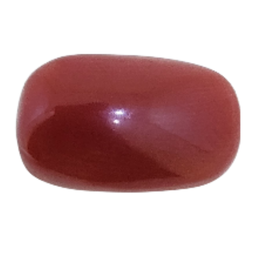 Hiraola's Product Image