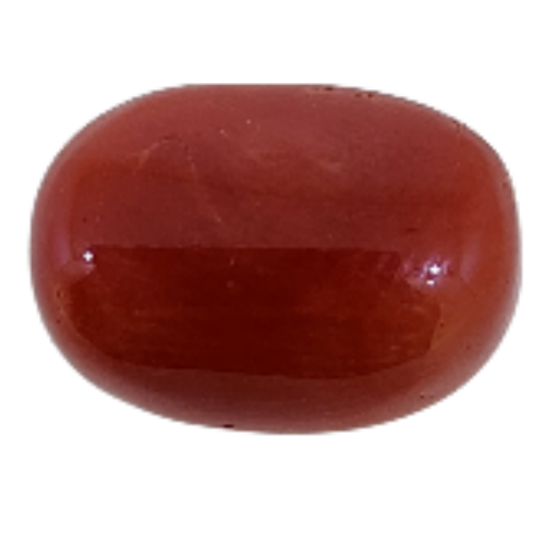 Hiraola's Product Image