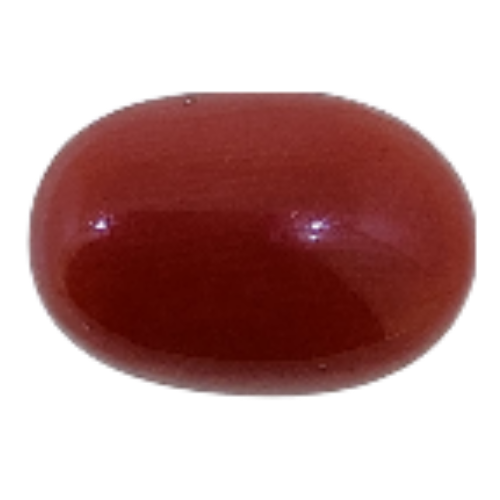 Hiraola's Product Image