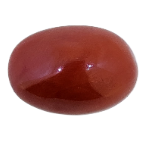 Hiraola's Product Image