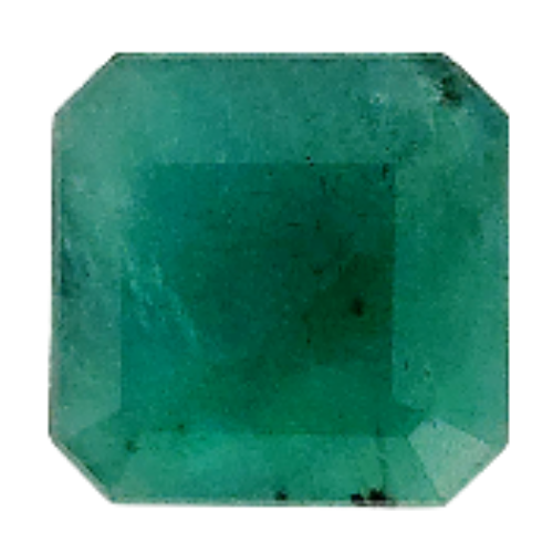 Hiraola's Product Image