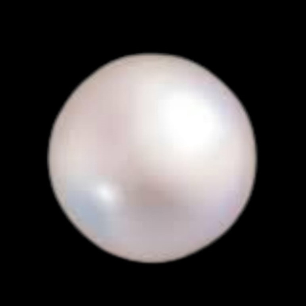 Hiraola's Product Image