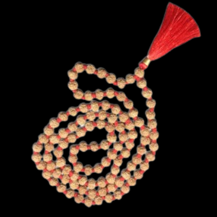 Natural Rudraksha