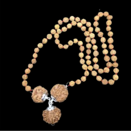 Natural Rudraksha