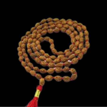 Natural Rudraksha