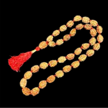 Natural Rudraksha