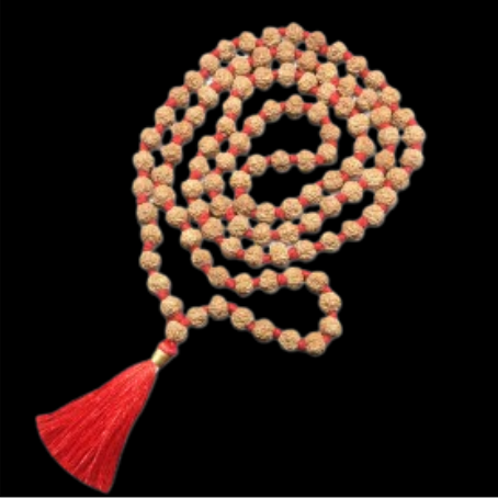 Natural Rudraksha