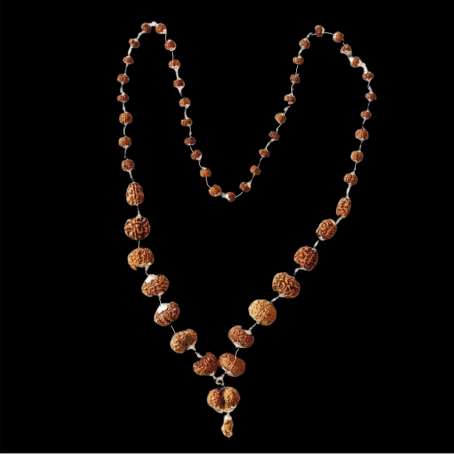 Natural Rudraksha